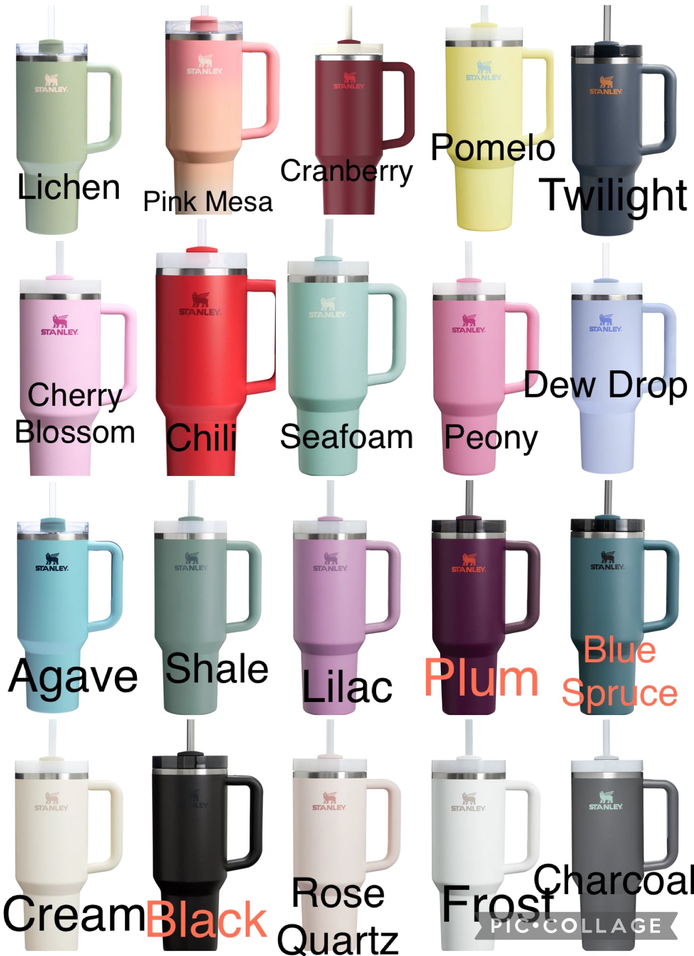 ACOTAR Officially Licensed Tumbler